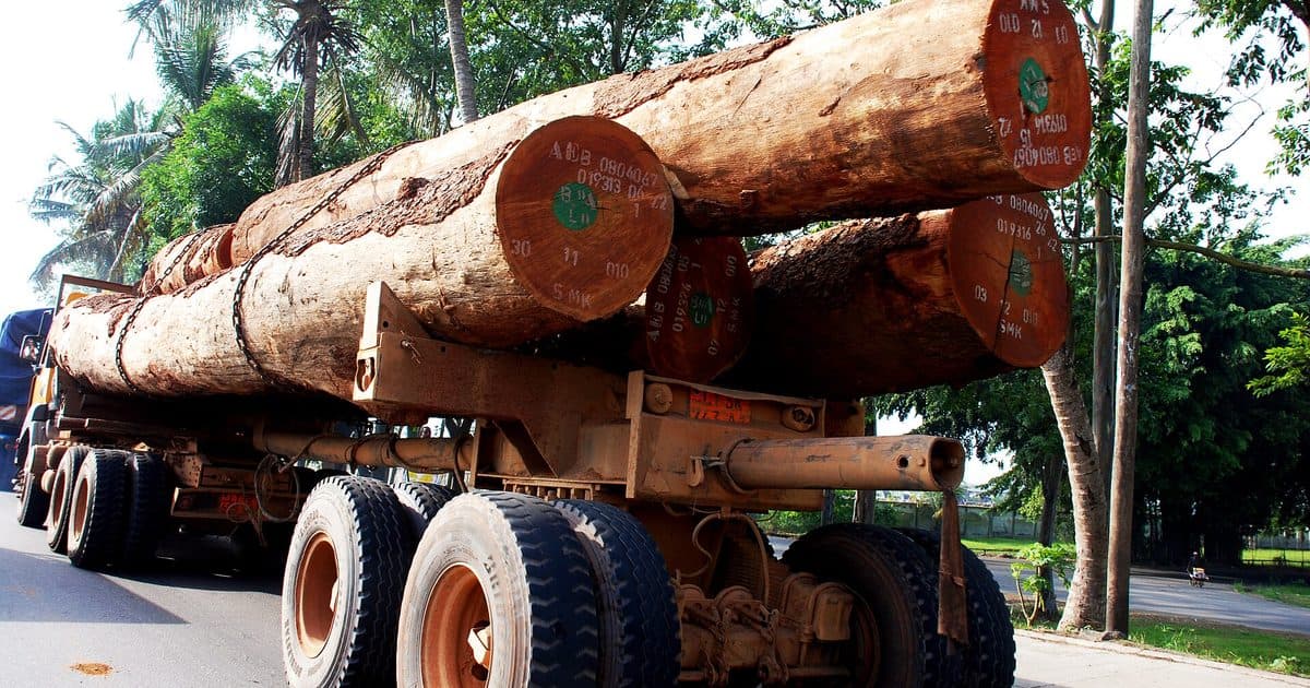 Camion grumier chargé de bois dans les rues de Douala