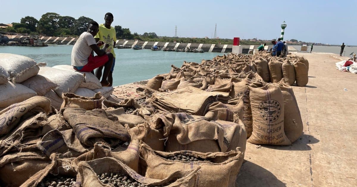 Bags of raw cashew nuts at the port of Bandim, Bissau, Guinea-Bissau
