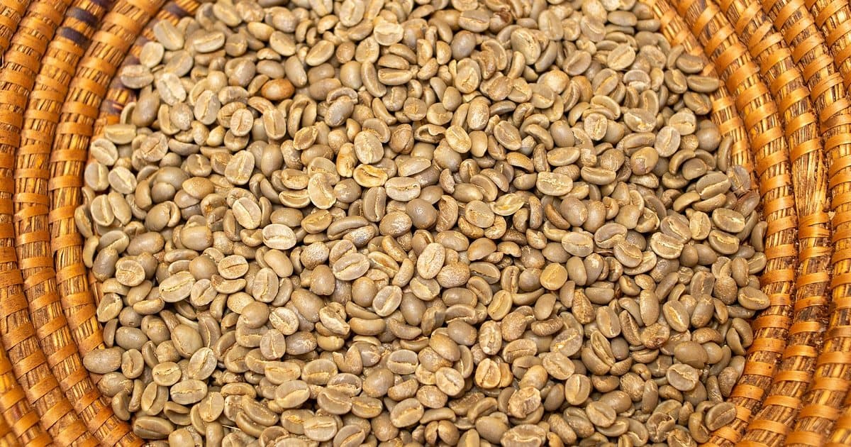 Dried green coffee beans in a woven basket